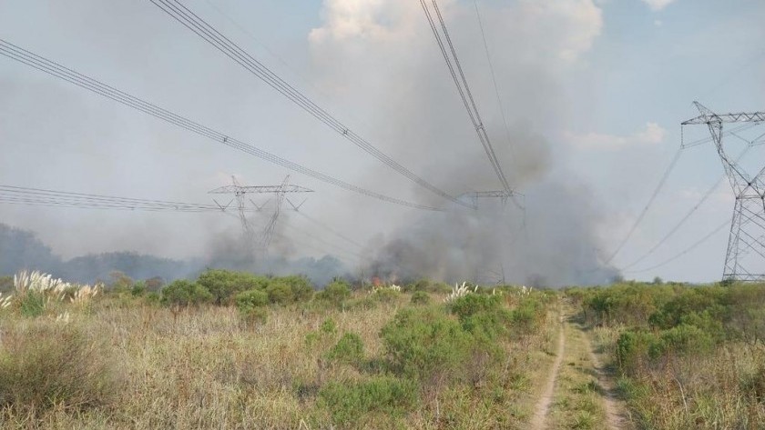 20 millones de personas quedaron sin electricidad por una quema de pastizales